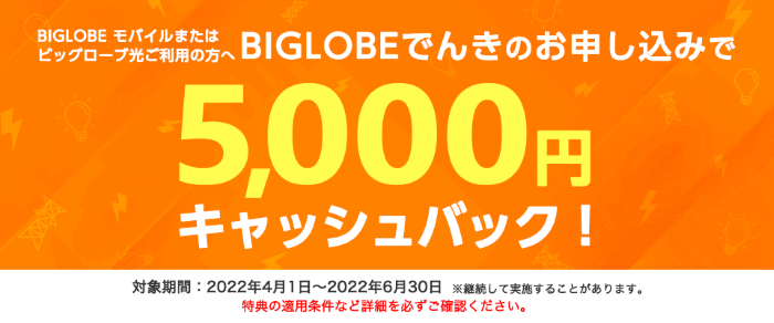 BIGLOBEでんき　5,000円キャッシュバック
