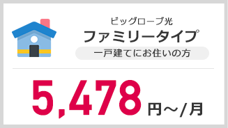 ビッグローブ光　ファミリータイプ　5,478円～/月