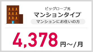 ビッグローブ光　マンションタイプ　4,378円～/月