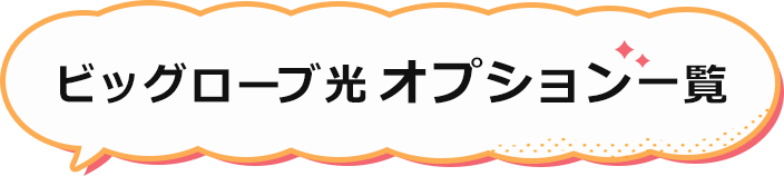 ビッグローブ光オプション一覧