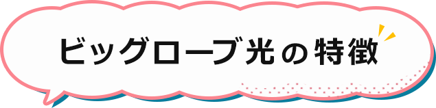 ビッグローブ光の特徴