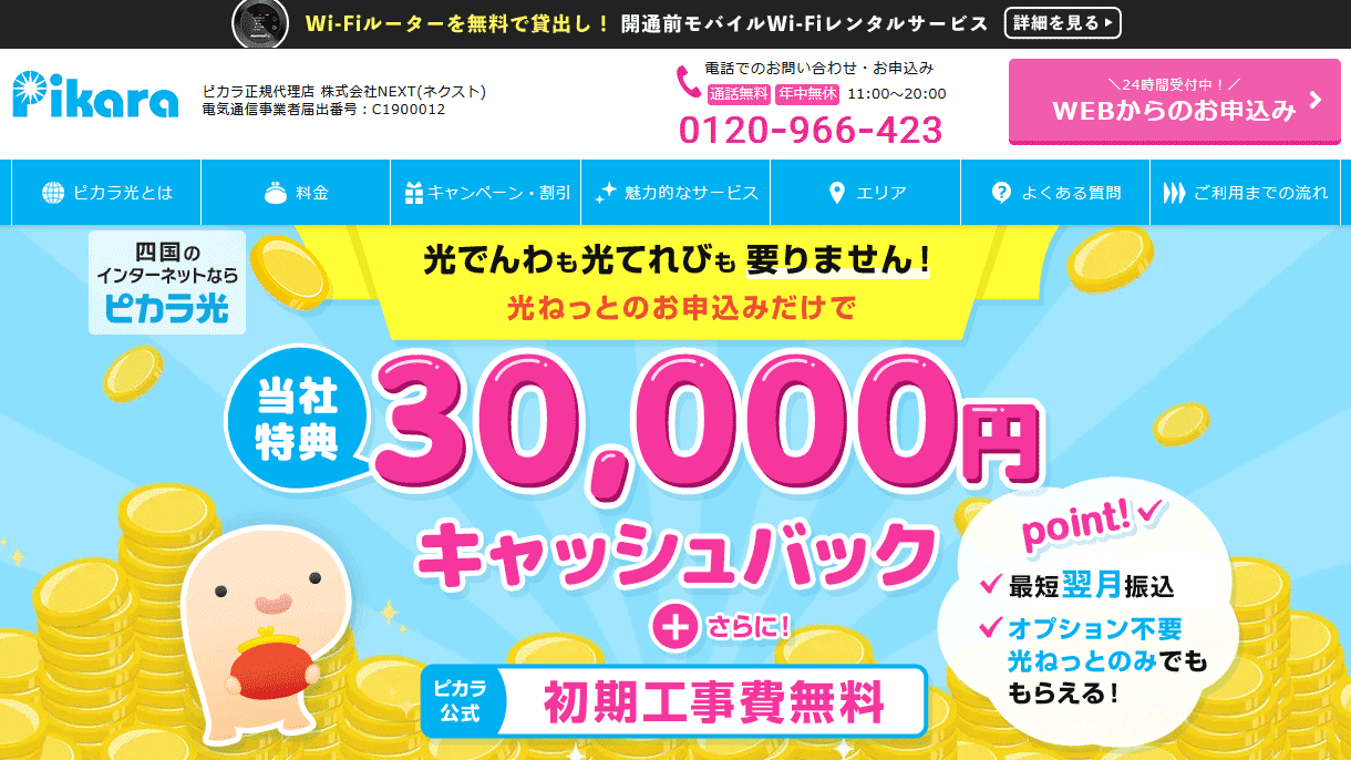 ピカラ光_NEXT